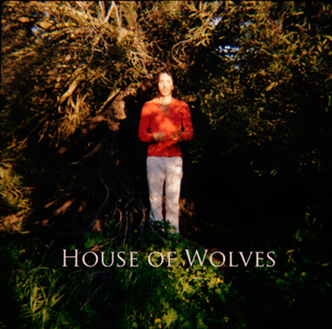 house of wolves